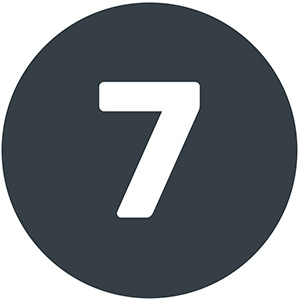 number 7 icon